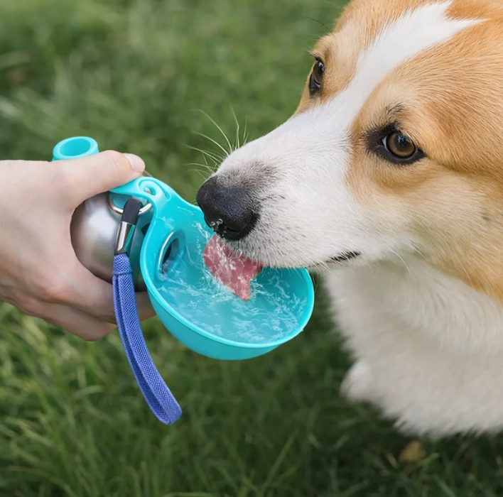 HYDRAPAW Bouteille d'eau de voyage - Une bouteille d'eau facile à emporter, toujours à portée de main !