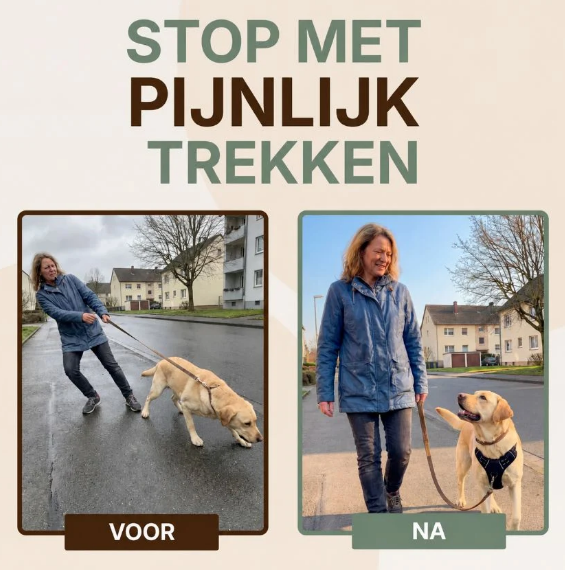 PERFECTWALK Harnais anti-traction avec laisse – Pour des promenades plus calmes avec votre chien sans secousses soudaines !