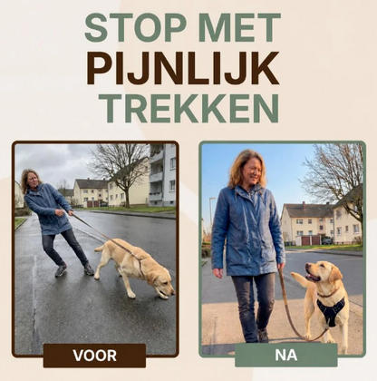 PERFECTWALK Harnais anti-traction avec laisse – Pour des promenades plus calmes avec votre chien sans secousses soudaines !
