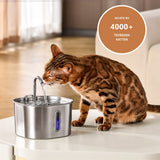 PurrSpring Drinkfontein
