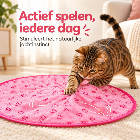 Actief spelen, iedere dag met de PAWPLAY Jachtmat