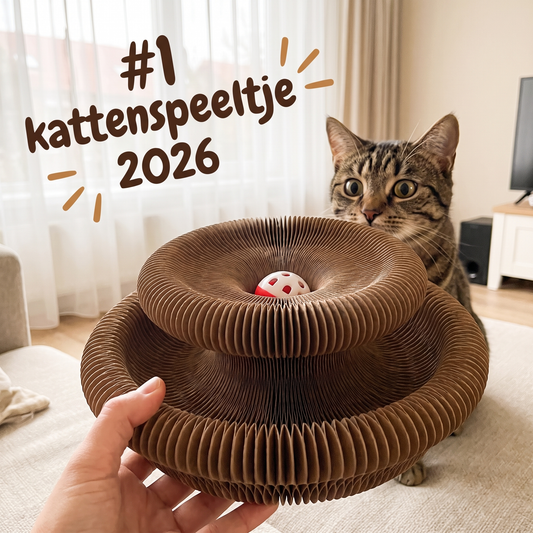PurrSpin Pro - Interactief Kattenspeeltje voor Katten en Kittens