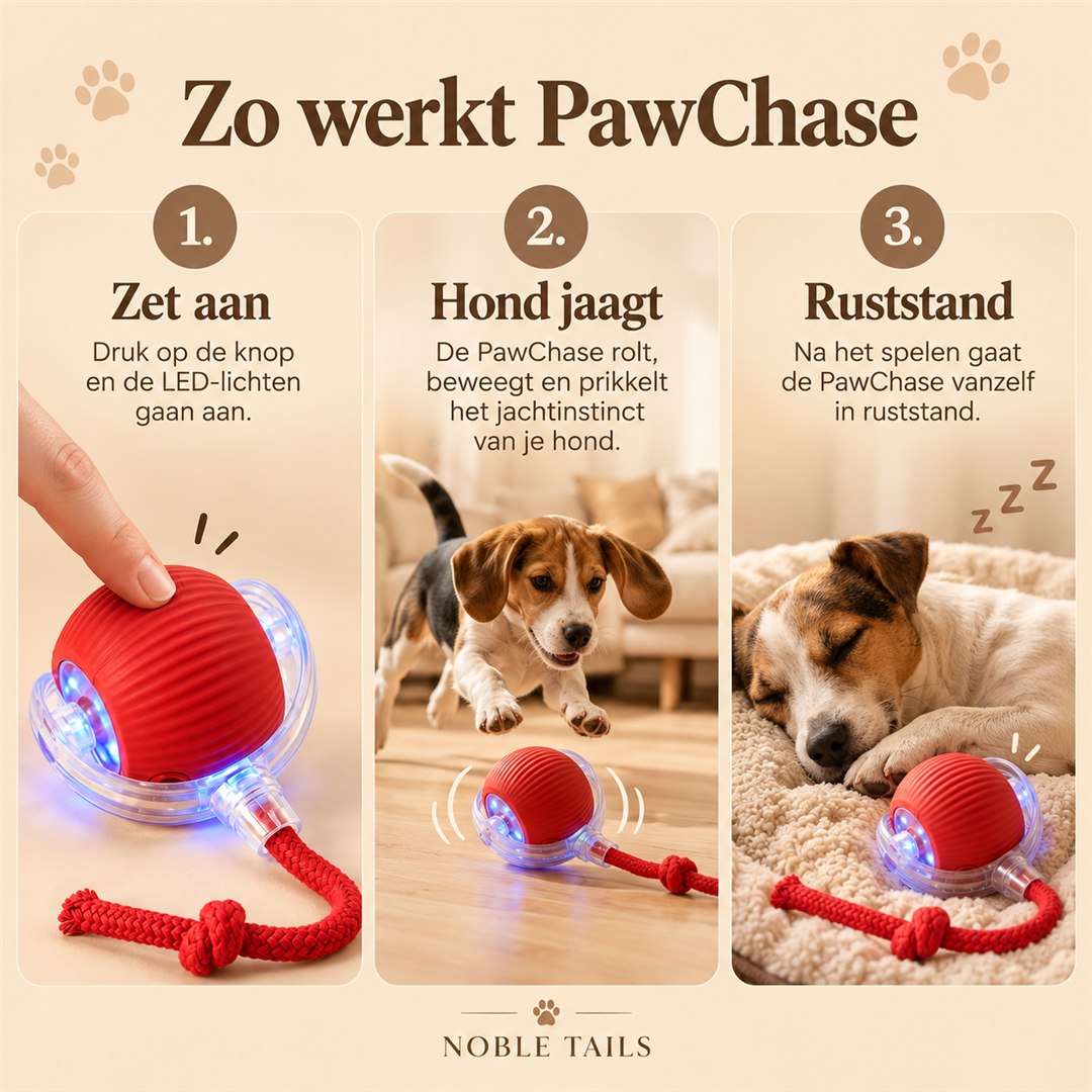 Zo werkt PawChase bij je hond