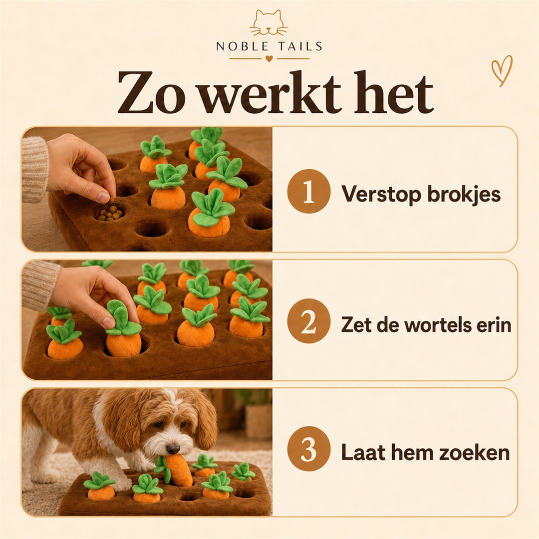Zo werkt het in 3 stappen